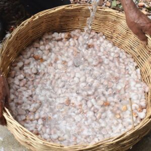 Cacao Lavado